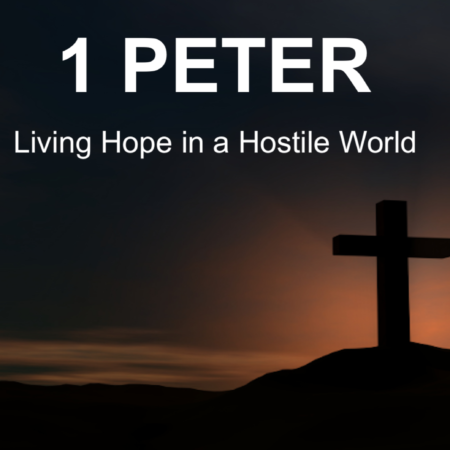 Faithful Living in a Hostile World