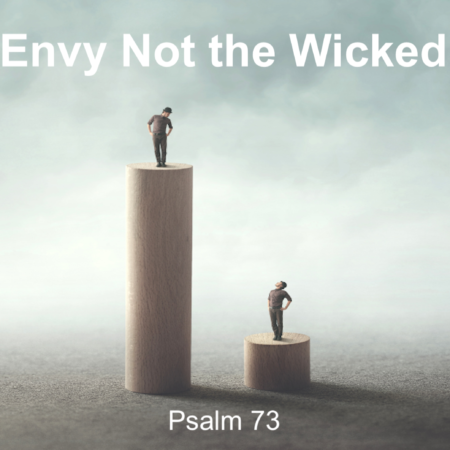 Envy Not the Wicked